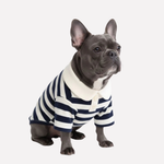 Navy Stripes