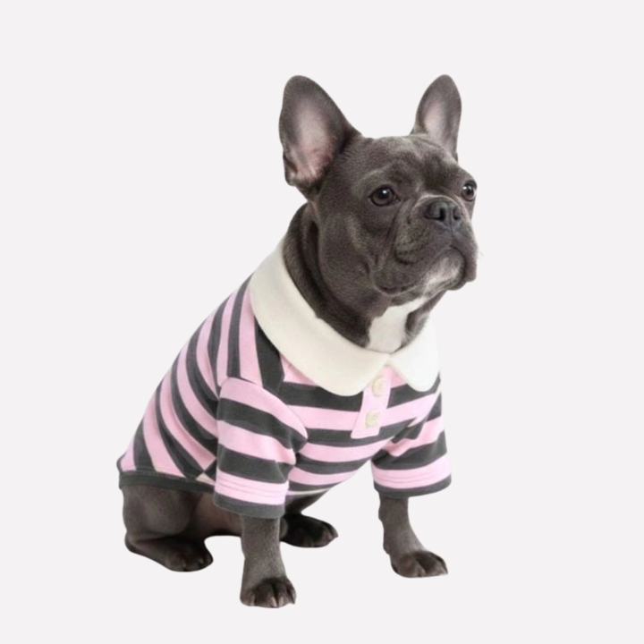 Casual dog polo shirt with blue and white stripes, perfect pet clothing for a fashionable canine.
