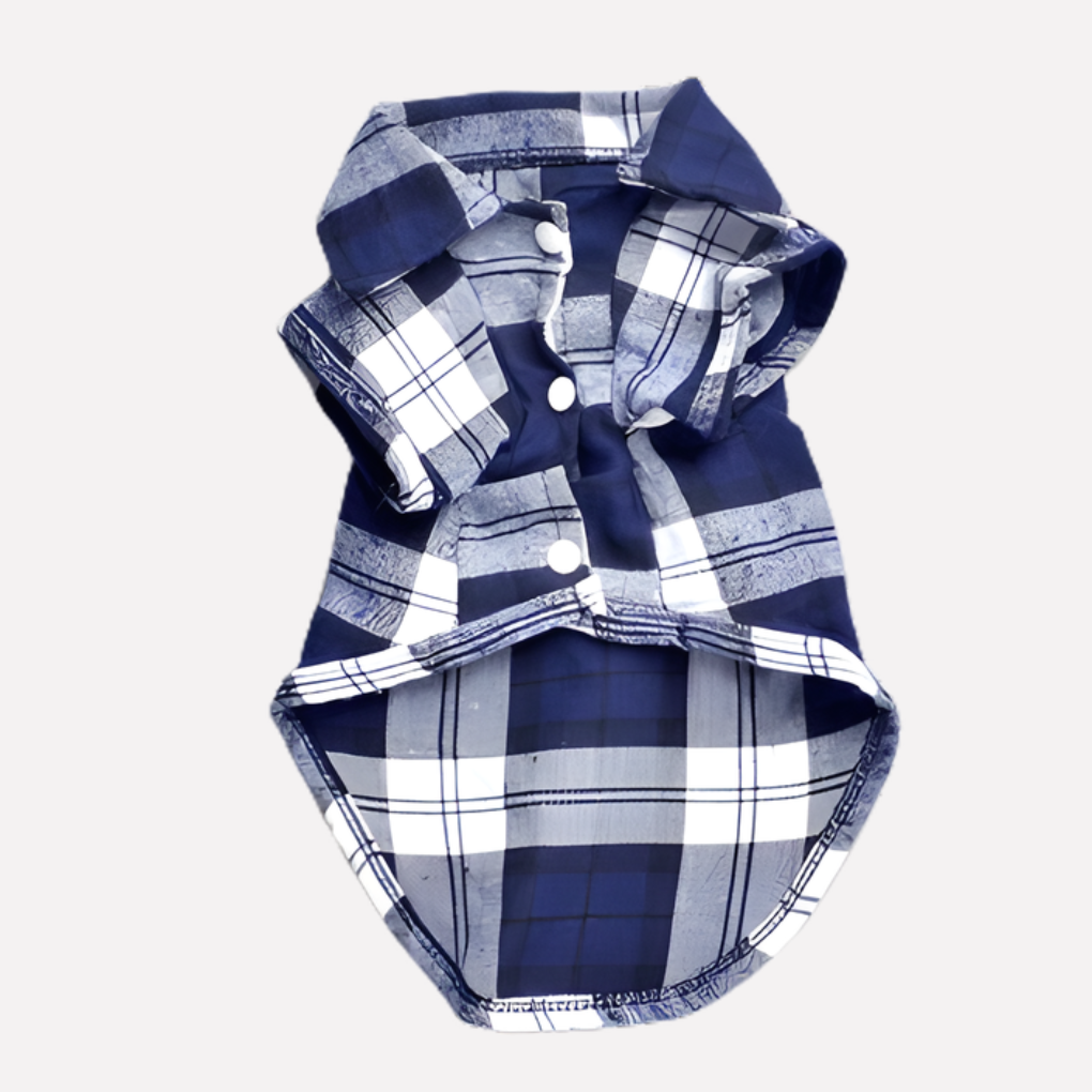 Closeup of a dog wearing a checkered pet apparel shirt with buttons down the front.