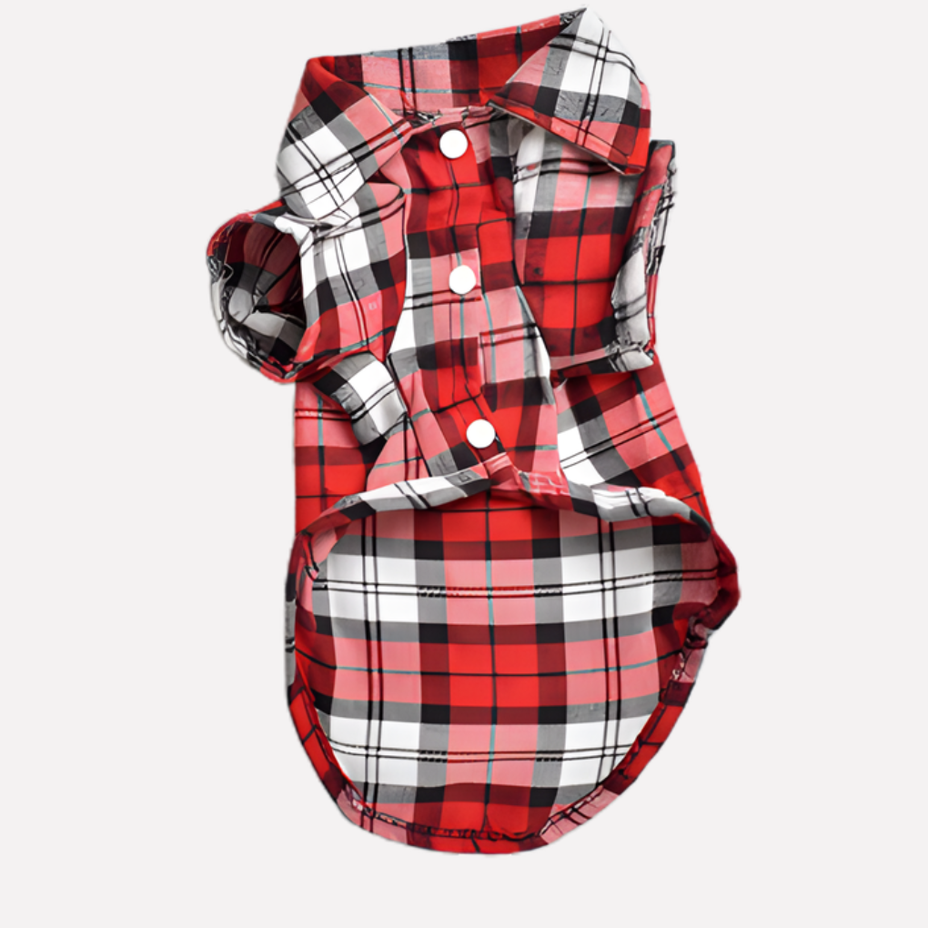 Stylish dog outfit: short sleeve plaid button-down shirt for pets, in a vibrant pattern.