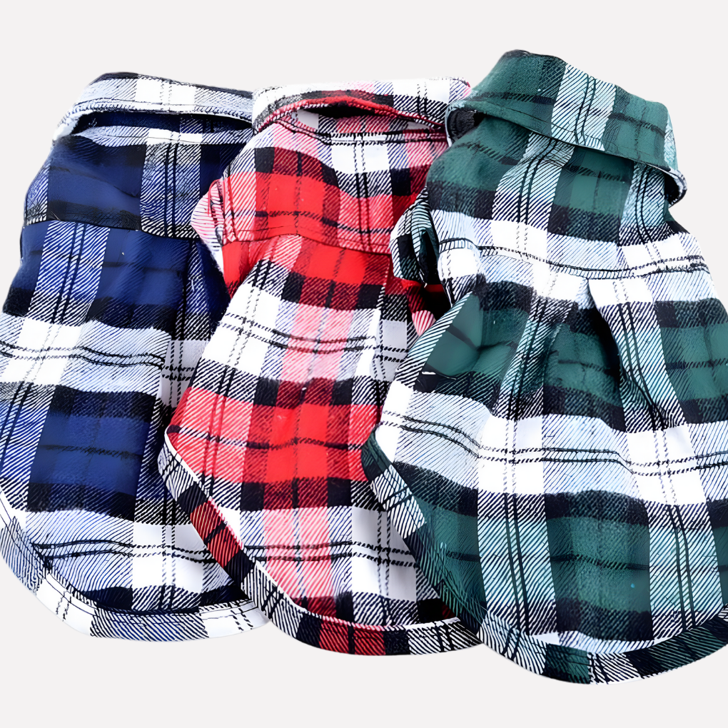 Adorable dog modeling a high-quality plaid short sleeve shirt, perfect for pet fashion.