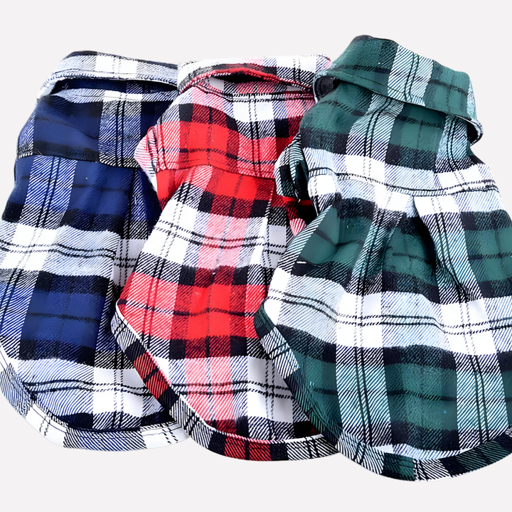 Adorable dog modeling a high-quality plaid short sleeve shirt, perfect for pet fashion.