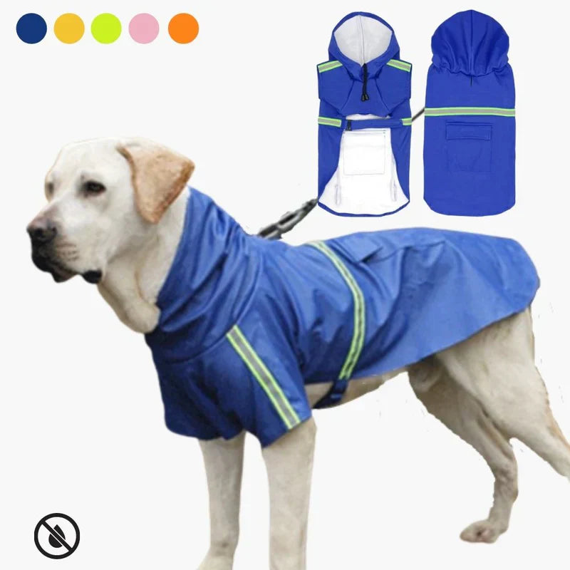 Close-up of waterproof dog jacket with hood, showing durable fabric and reflective strips for safety.