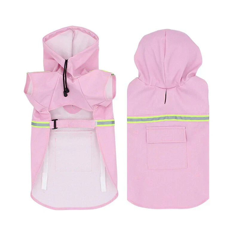 Dog enjoying a walk in a green waterproof dog jacket with hood, ideal for outdoor dog gear.