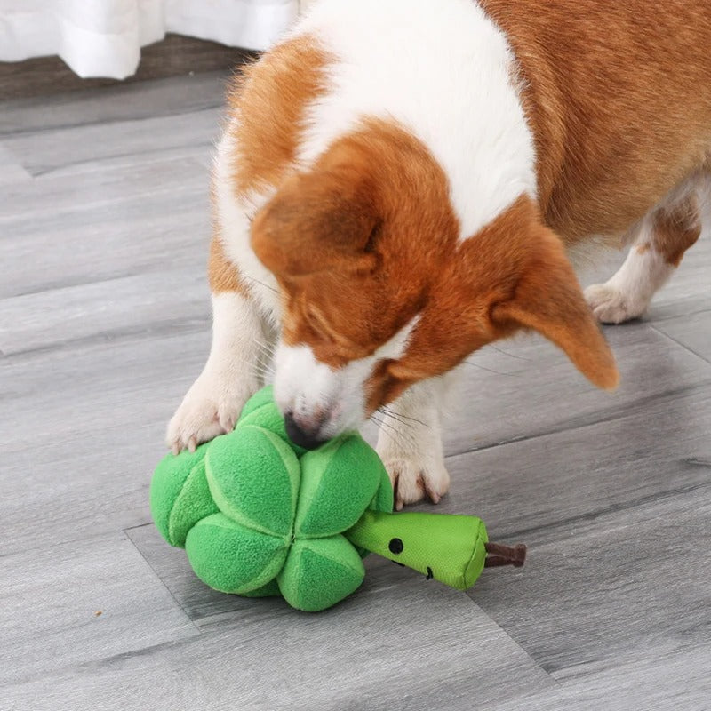 Dog interactive broccoli sniffing slow feeder toy for mental stimulation and enrichment