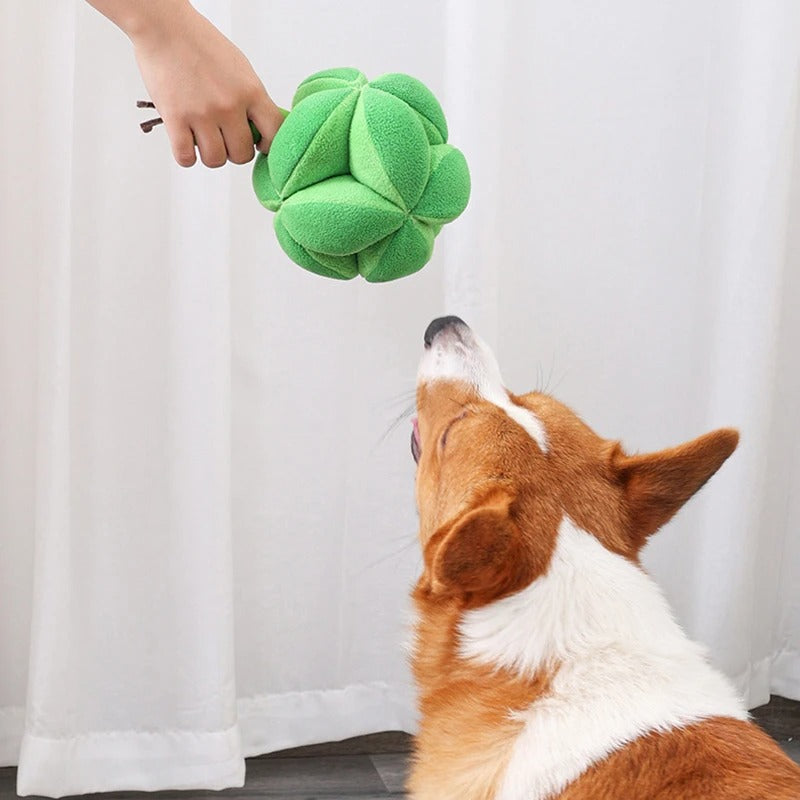Durable pet supplies: interactive broccoli dog toy for slow feeding and mental fun