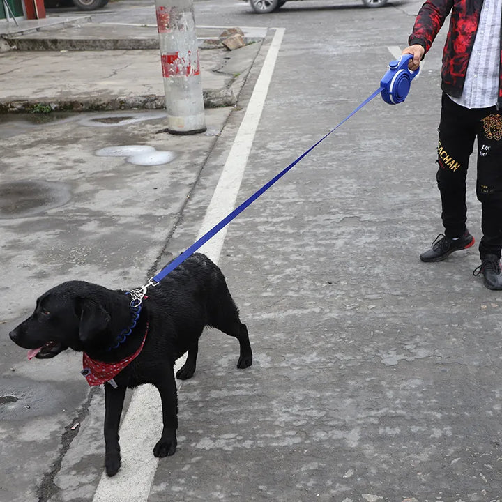 Outdoor gear for dogs: leash with a built-in water bottle, bowl, and waste bag dispenser