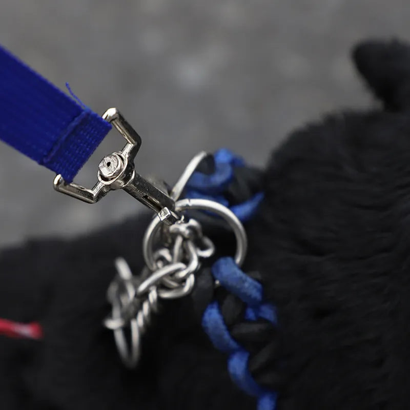 Innovative dog supplies: leash with hydration solution and portable bowl for active dog owners