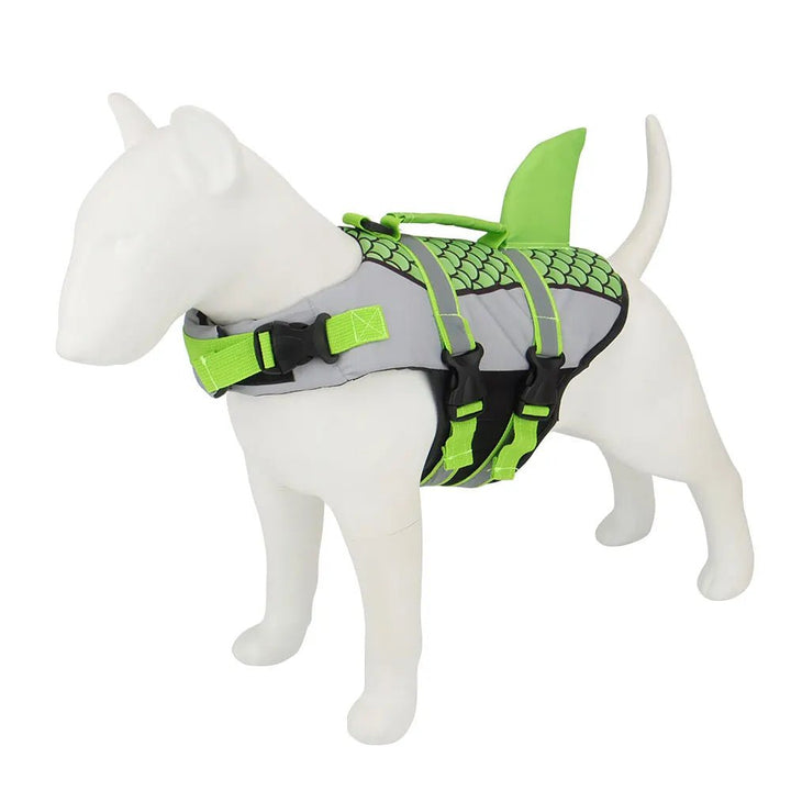 Side view of a dog in a lightweight shark design life jacket, ready for swimming