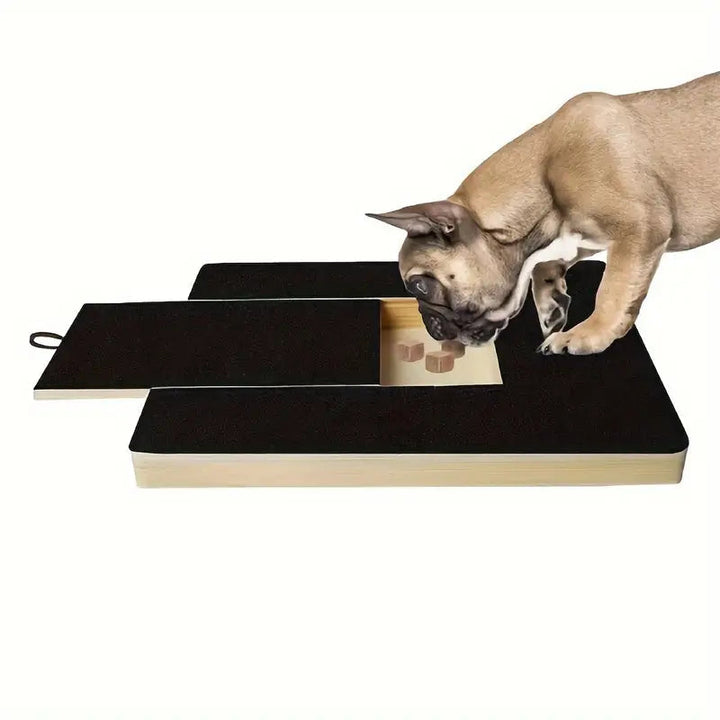 Dog paw health scratch board with built-in treat dispenser for interactive grooming
