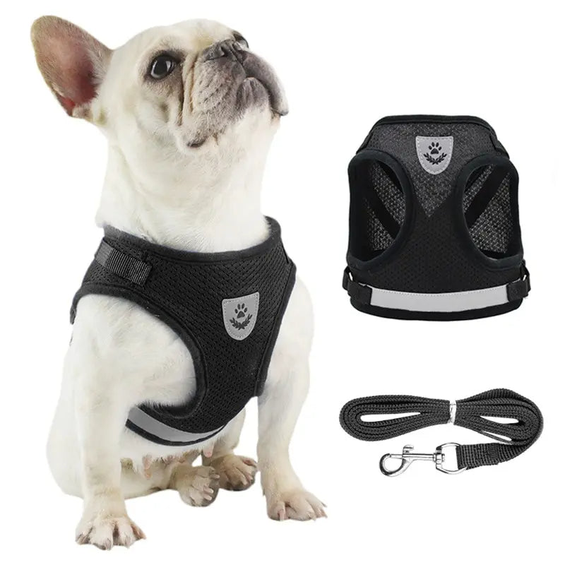Breathable no-pull dog harness with reflective trim and matching leash for night walks