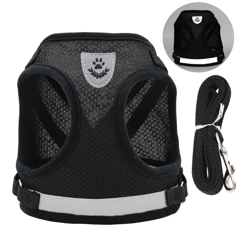Dog outdoor gear: a reflective, breathable no-pull vest harness with an attached leash