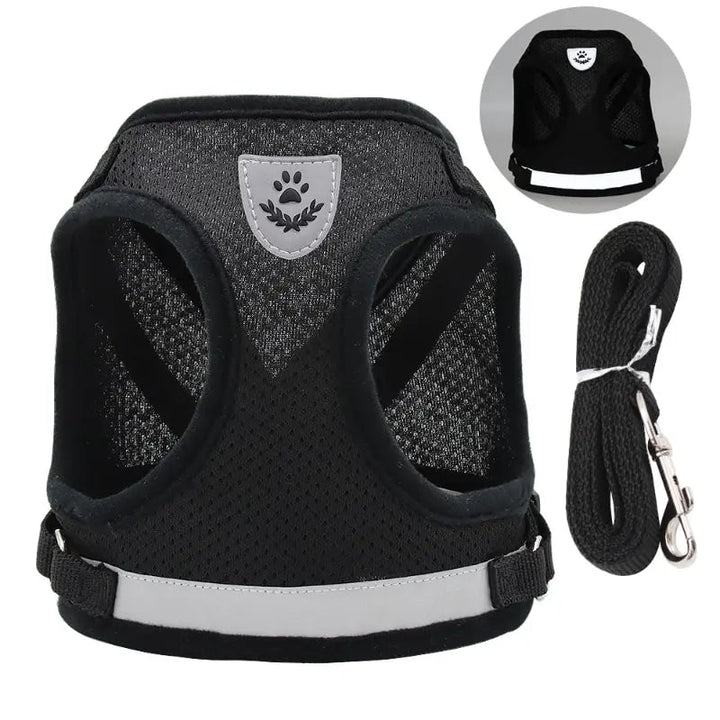 Dog outdoor gear: a reflective, breathable no-pull vest harness with an attached leash