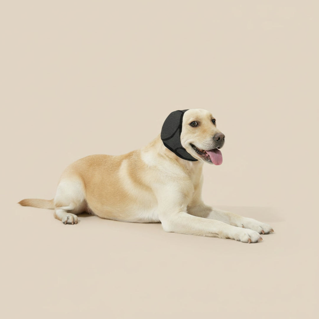 Soft, comfortable dog ear protection for noise reduction during grooming or travel, ensuring pet comfort.