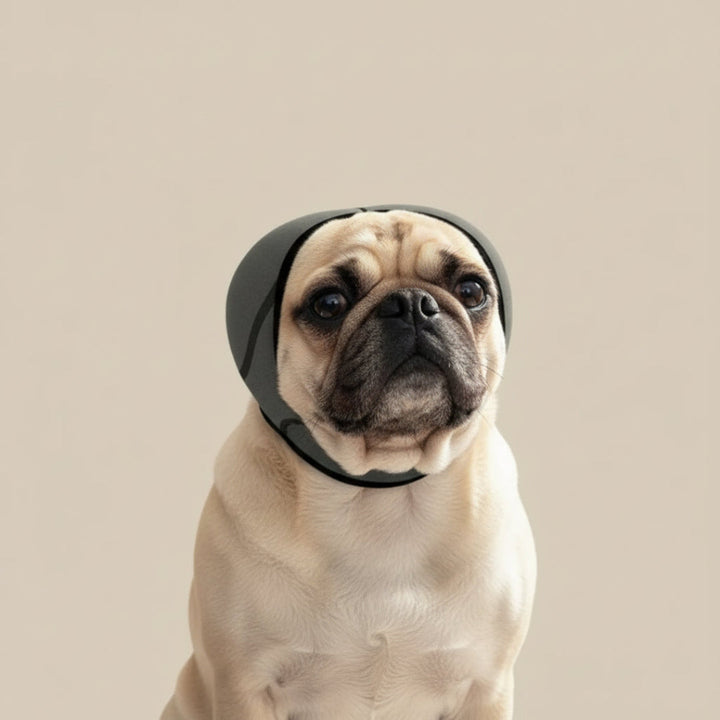 Adjustable noise cancelling headphones for dogs, providing anxiety relief and calming solution during thunderstorms.