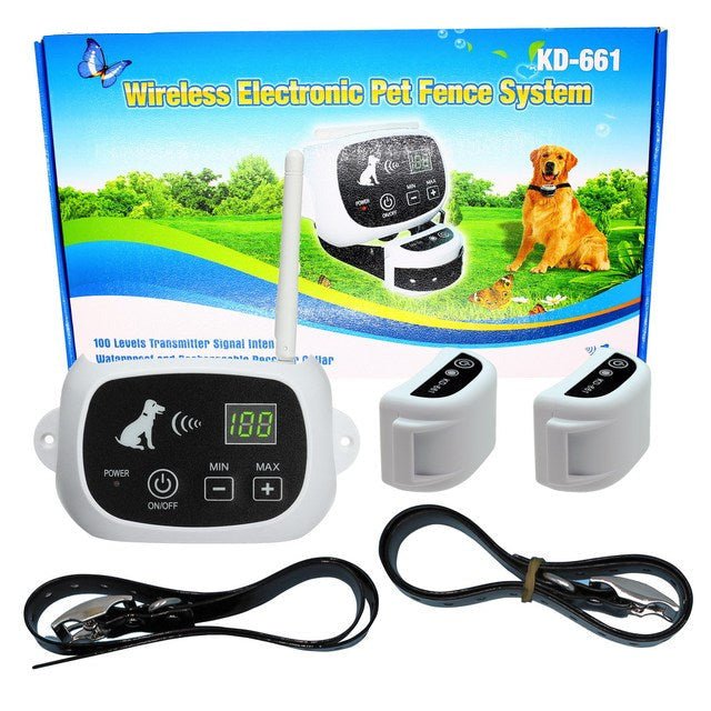 Small white dog wearing dog paw wax and walking on a trail, showcasing outdoor dog gear