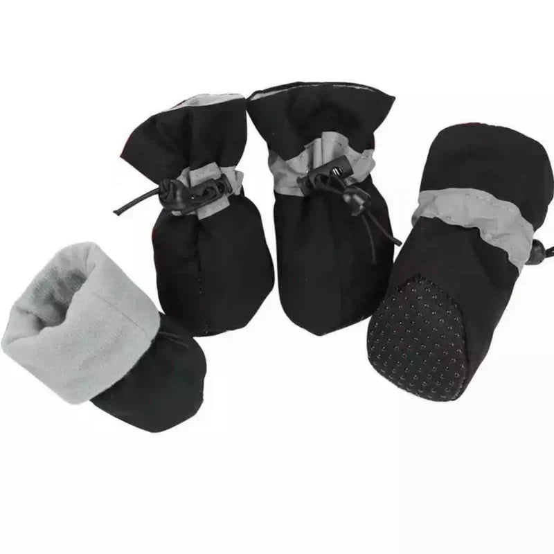 Waterproof dog boots protecting paws from snow and ice, key pet accessories for comfortable winter dog adventures.
