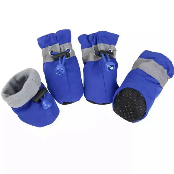 Dog wearing blue paw protector boots on a snowy trail, showcasing winter dog gear for outdoor dog activities.