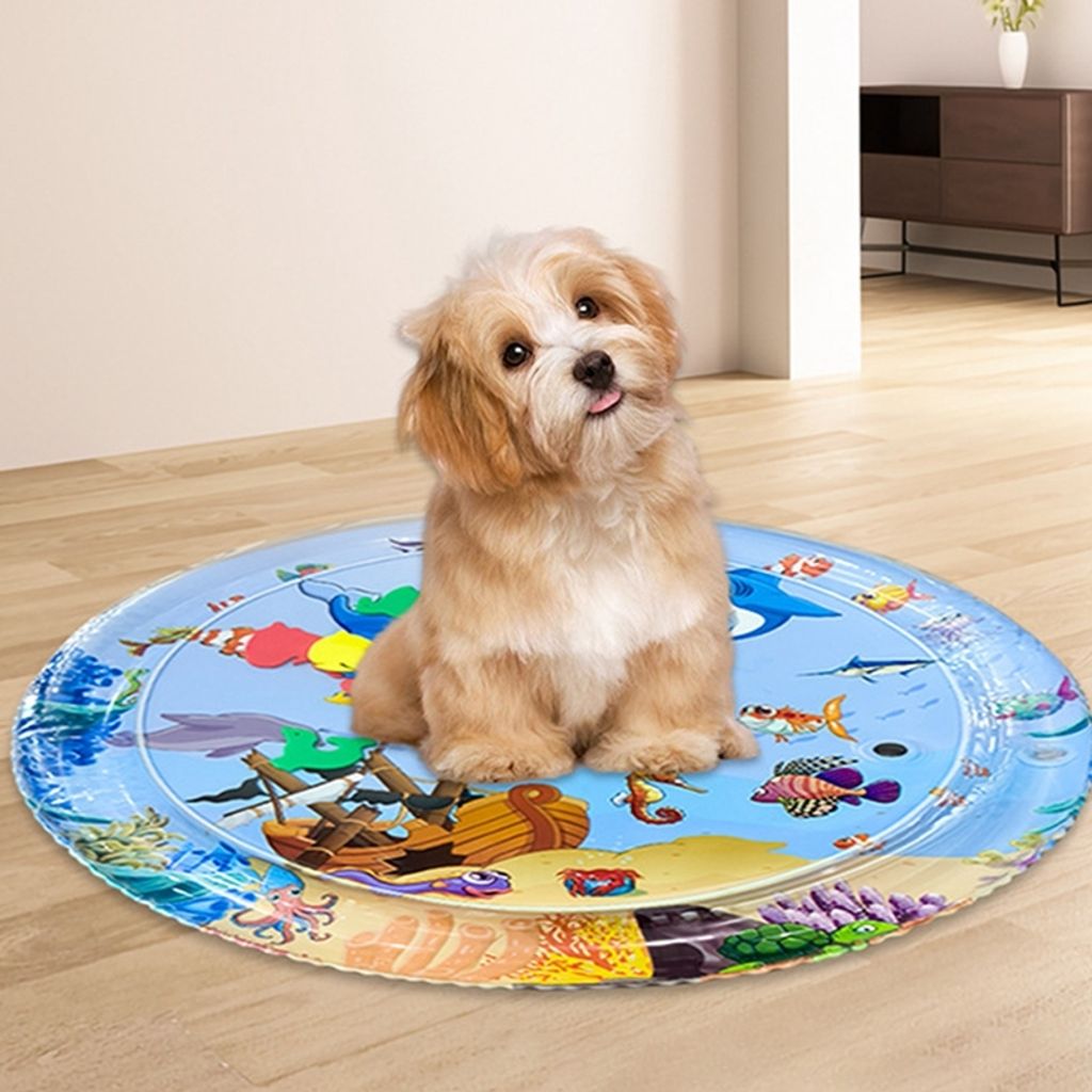 Dog playing happily on a blue sprinkler pad and cooling mat during a hot summer day, water jets spraying