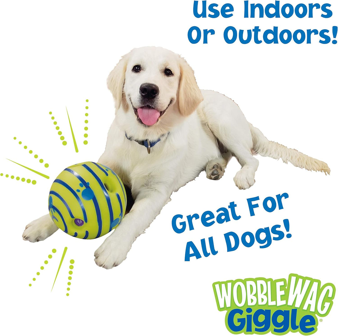 Golden Retriever happily engaging with an interactive Wobble Giggle dog toy, promoting active pet play.
