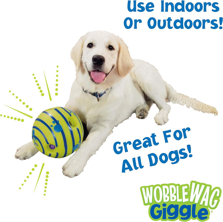 Golden Retriever happily engaging with an interactive Wobble Giggle dog toy, promoting active pet play.