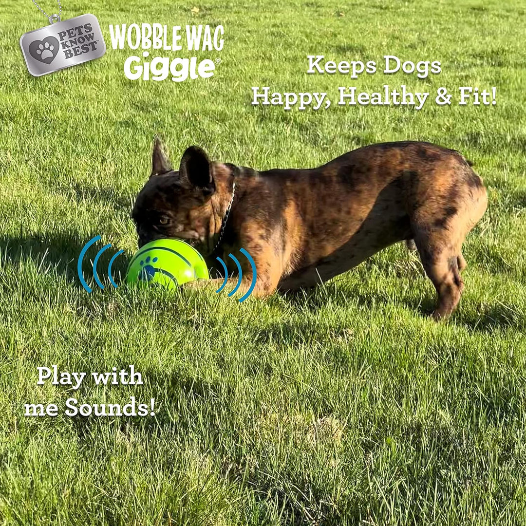 Puppy curiously sniffing a Wobble Giggle Dog Toy, an interactive giggle ball for young dogs.