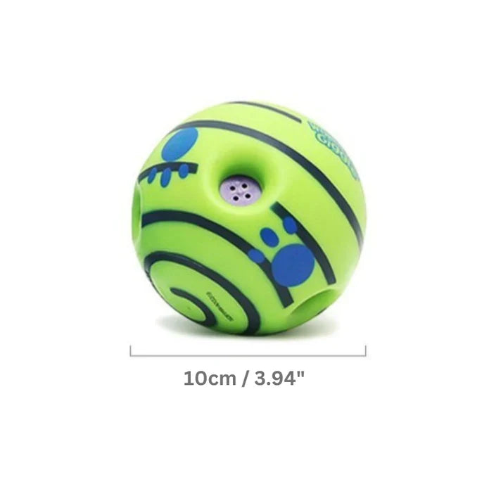 Small dog breed batting at a Wobble Giggle Ball, an interactive toy providing good pet enrichment.