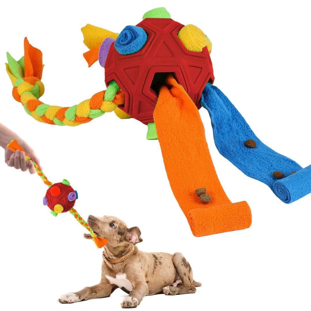 Dog playing with interactive treat puzzle toy, a snuffle ball for mental stimulation
