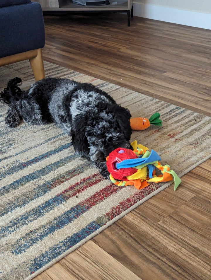Dog supplies: interactive treat game and snuffle ball for mental enrichment play