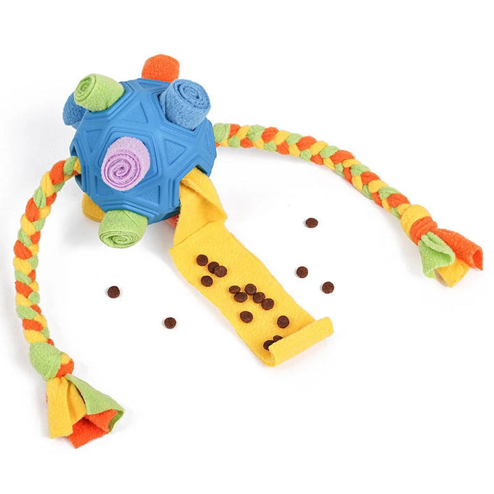 Overhead view of an interactive dog treat game, a colorful snuffle ball pet toy