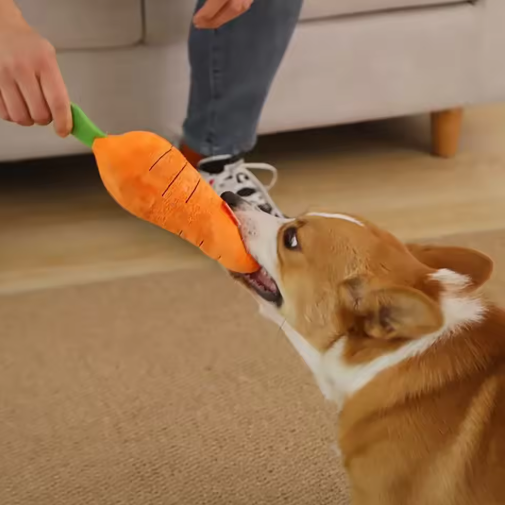 Dog plush interactive carrot toy for pets, ideal chew and squeaky play for dogs.