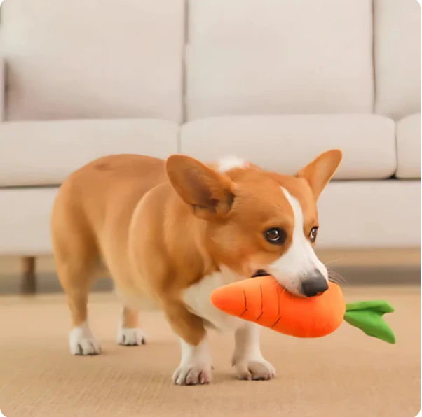 Durable dog chew toy, plush carrot design, great pet supplies for interactive play.