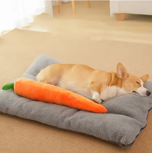 Pet supplies: interactive plush carrot dog toy, squeaky feature enhances playtime.