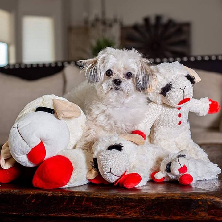 Fluffy white dog plush lamb with a squeaker, a fun and interactive pet enrichment toy