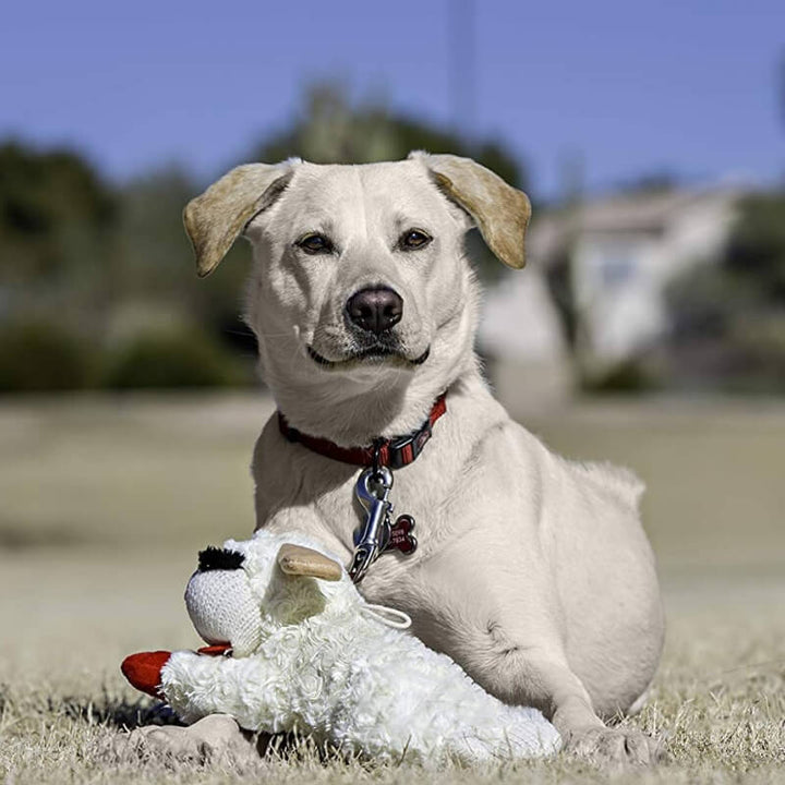Interactive dog plush lamb toy, a soft squeaker pet toy designed for canine fun