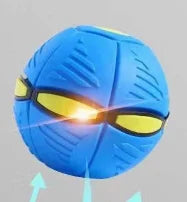 Interactive pet toy, Pop-Up Disc Ball for dogs, perfect for outdoor and enriching play