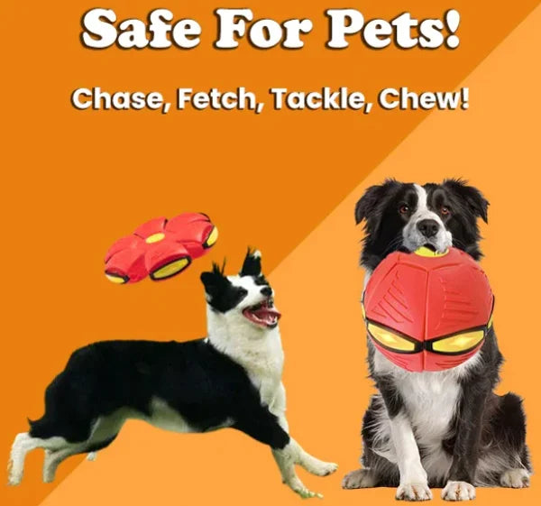 Interactive dog enrichment toy, Pop-Up Disc Ball for active dogs & outdoor play