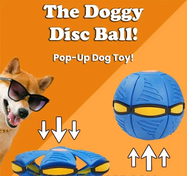 Pet supplies: Pop-Up Disc Ball, a luminous and transforming dog toy for endless fun