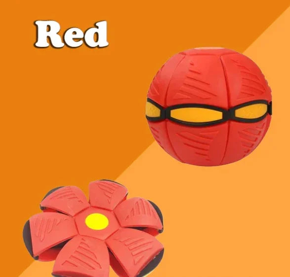 Outdoor dog toy: Pop-Up Disc Ball, a durable chew toy for active pets & enrichment