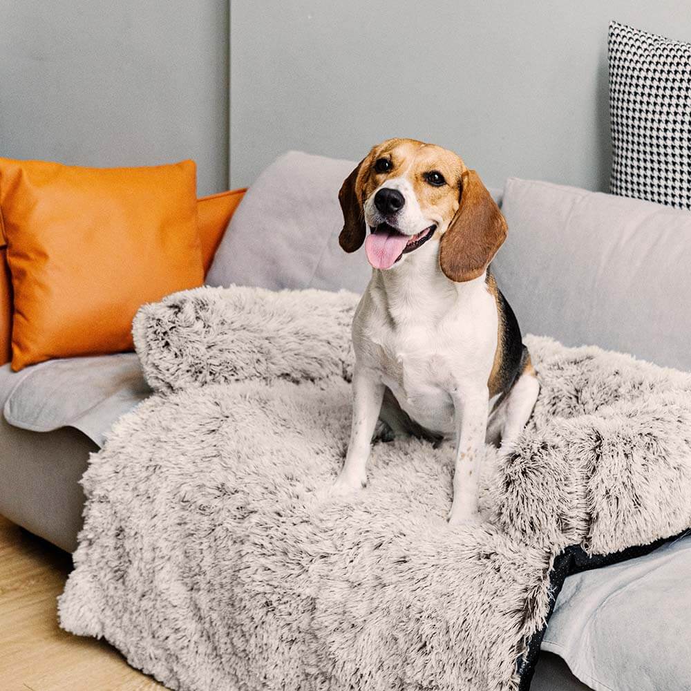 Dog relaxing on a calming pet furniture protector couch cover with fuzzy backrest, gray faux fur