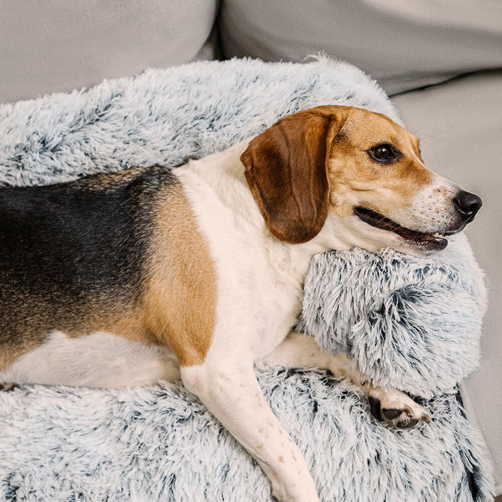 Calming dog bed and furniture protector with high fuzzy backrest, covering a brown couch