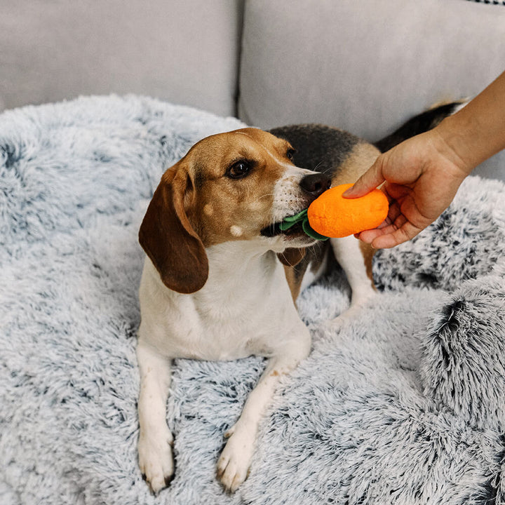 Pet couch cover acting as a calming dog bed, protecting furniture from spills and pet hair