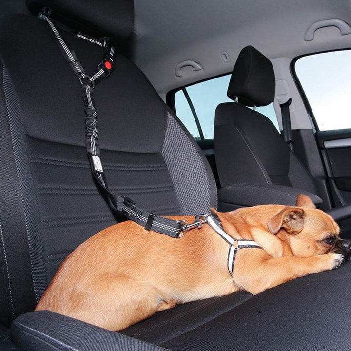 Dog safety seat belt for car travel, adjustable pet restraint for vehicles