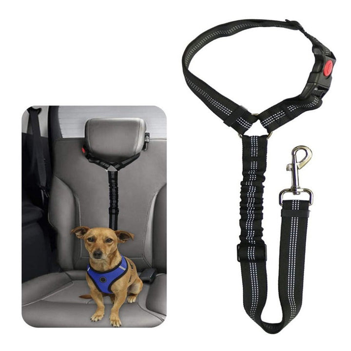 Universal pet safety belt, peace of mind for dog owners in cars