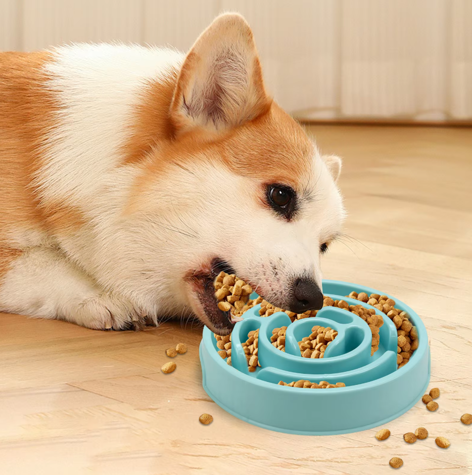 Dog Slow Feeder Bowl for healthy eating, promoting better digestion in puppies and adult dogs.