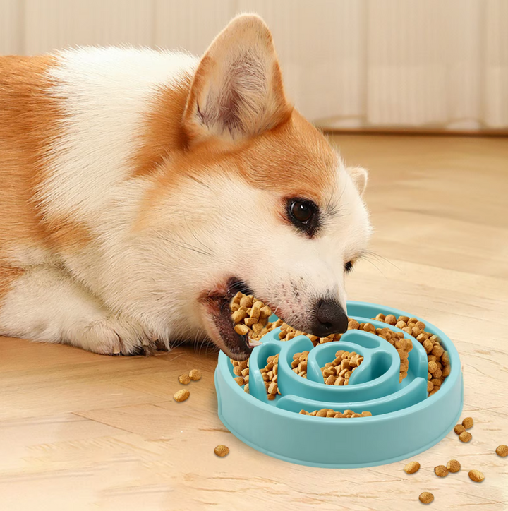 Dog Slow Feeder Bowl for healthy eating, promoting better digestion in puppies and adult dogs.