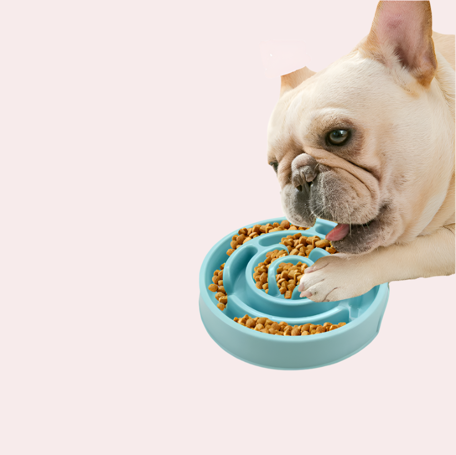Green anti-gulping dog bowl designed to slow down eating, a healthy feeding solution for pets.