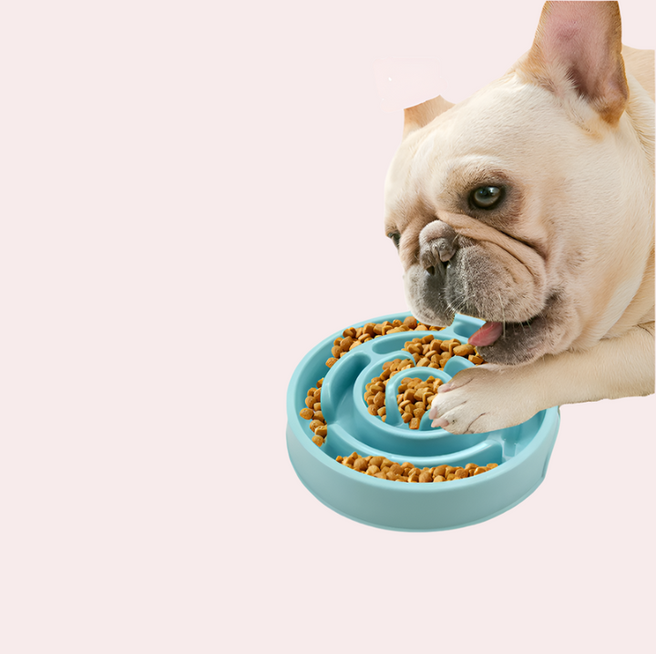 Green anti-gulping dog bowl designed to slow down eating, a healthy feeding solution for pets.