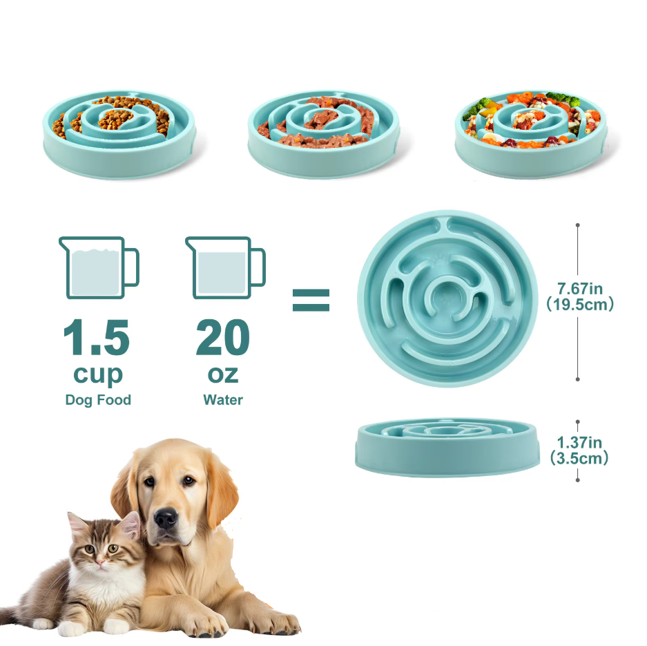 Innovative slow feeder dog bowl, a key dog accessory for canine digestion and anti-gulping.