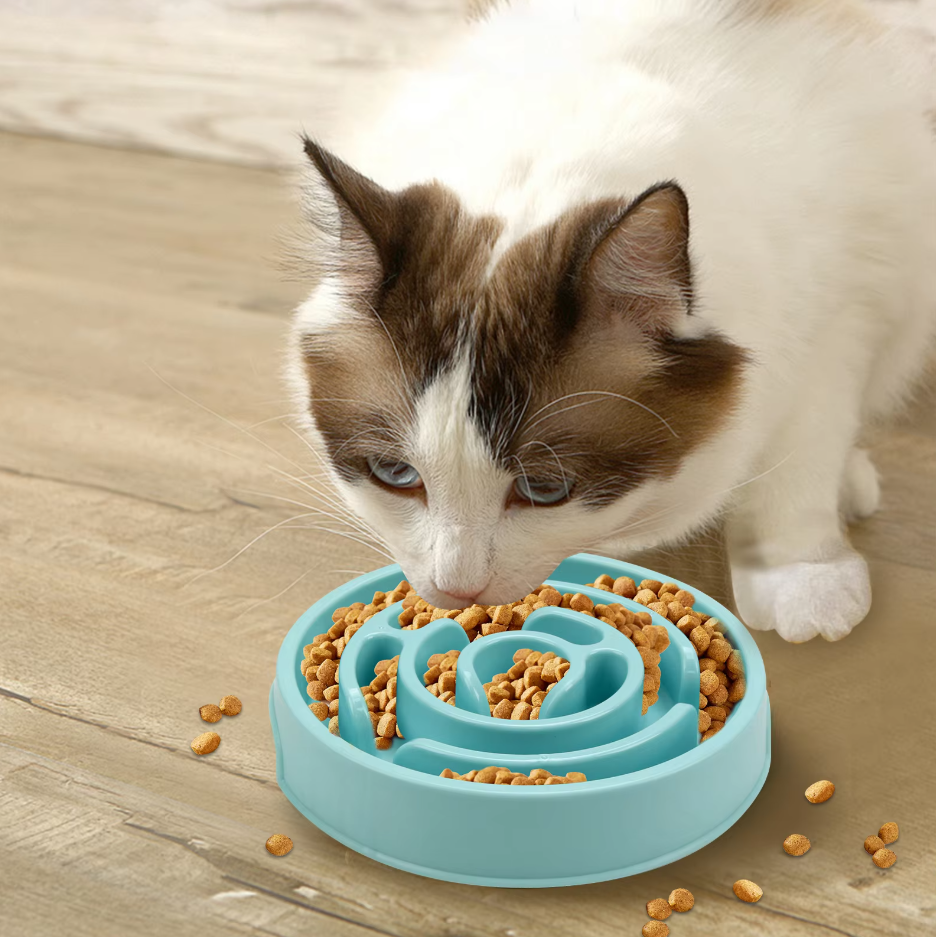 Ergonomic slow feeder dog bowl, a pet health essential for puppies and adult dogs.